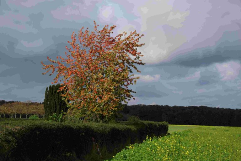 Fahrt ins Blaue 19.10.2025